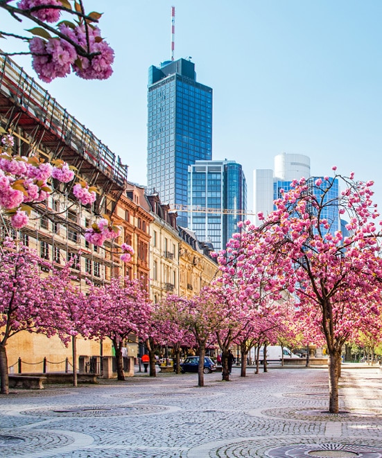 Wohnung im Zentrum Frankfurt